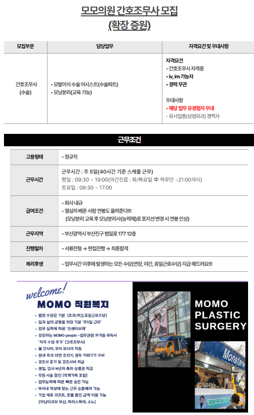 모모2.png